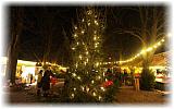 160x120_Weihnachtsbaum